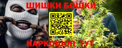 шишки Кудрово